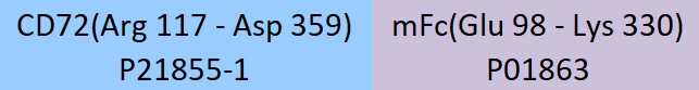 CD72 Structure