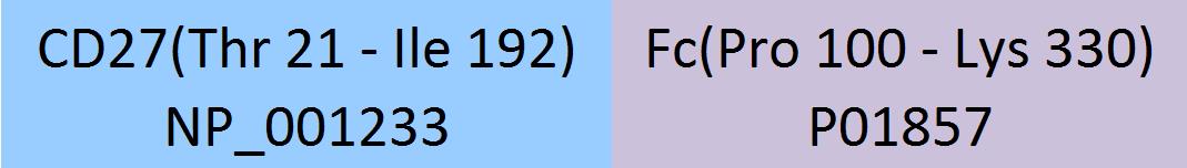 CD27 Structure