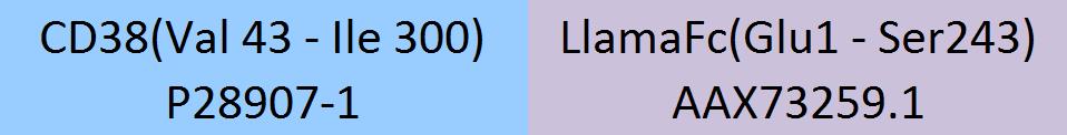 CD38 Structure