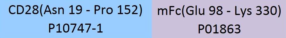 CD28 Structure