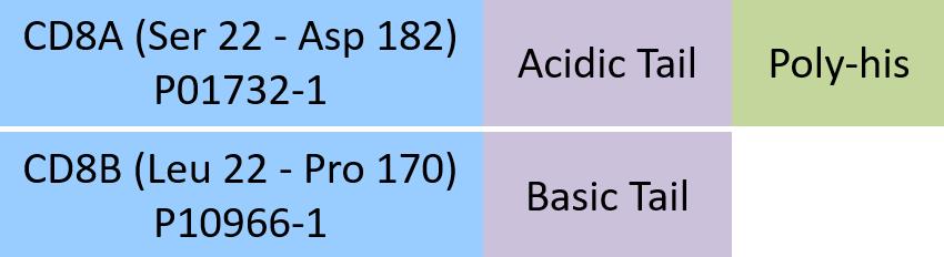 CD8 alpha & beta Structure