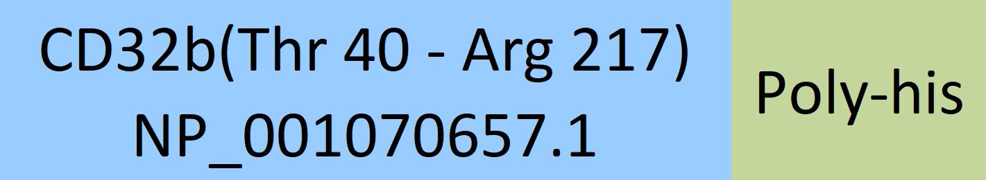 Online(Thr 40 - Arg 217) NP_001070657.1