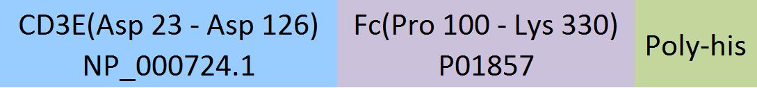 CD3 epsilon Structure