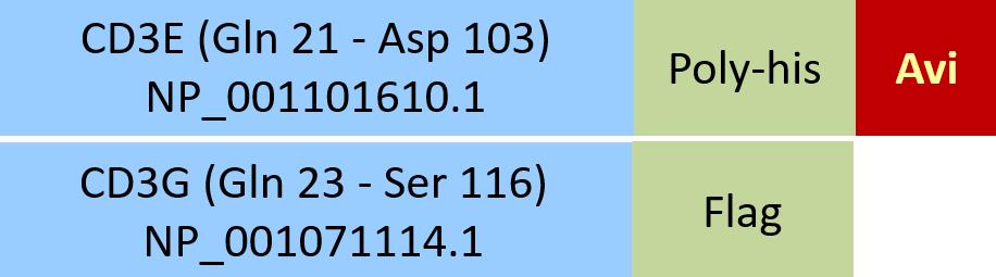 Online(Gln 21 - Asp 103 (CD3E) & Gln 23 - Ser 116 (CD3G)) NP_001101610.1 (CD3E) & NP_001071114.1 (CD3G)