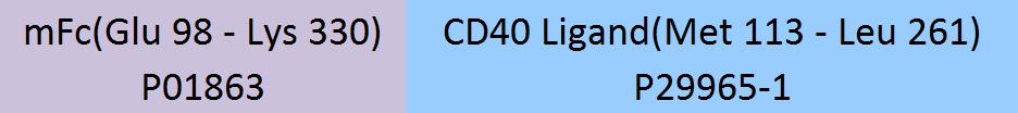 CD40 Ligand Structure