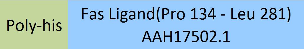 Fas Ligand Structure