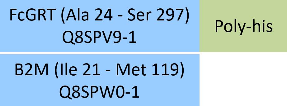 Online(Ala 24 - Ser 297 (FCGRT) & Ile 21 - Met 119 (B2M)) Q8SPV9-1 (FCGRT) & Q8SPW0-1 (B2M)