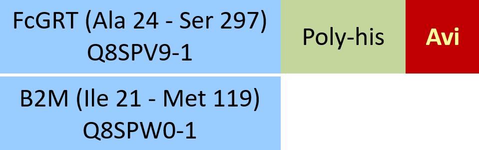 Online(Ala 24 - Ser 297 (FCGRT) & Ile 21 - Met 119 (B2M)) Q8SPV9-1 (FCGRT) & Q8SPW0-1 (B2M)