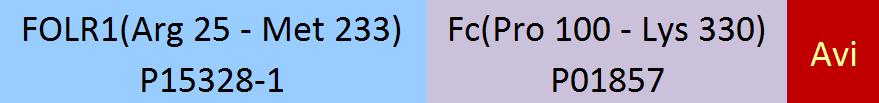 FOLR1 Structure