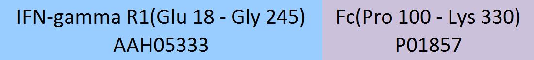 IFN-gamma R1 Structure