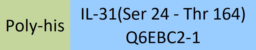 IL-31 Structure