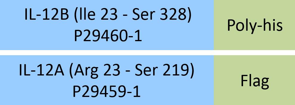 IL-12B & IL-12A Structure