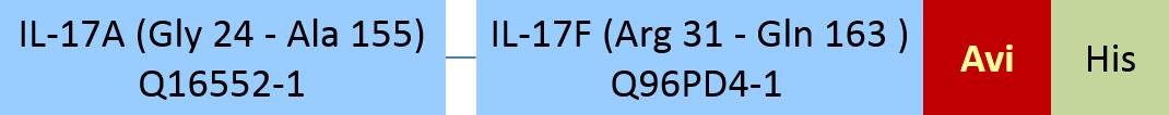 IL-17A & IL-17F Structure