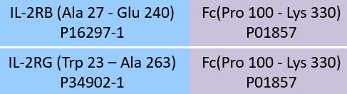 IL-2 R beta & IL-2 R gamma Structure