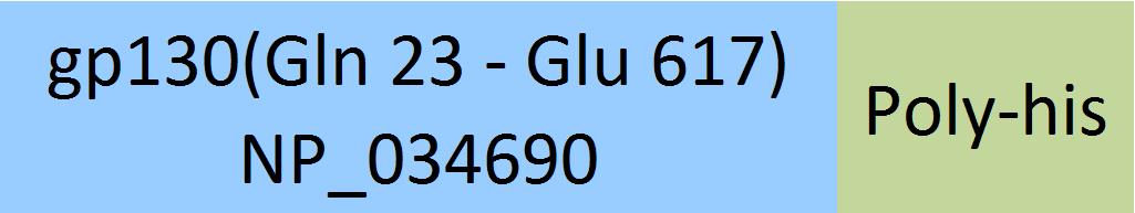 Online(Gln 23 - Glu 617) NP_034690