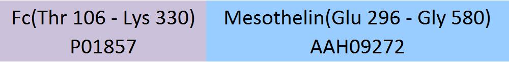 Mesothelin Structure