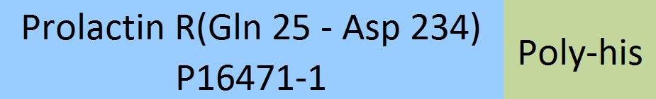 Prolactin R Structure