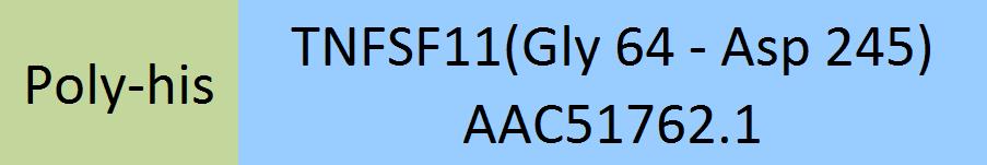 TNFSF11 Structure