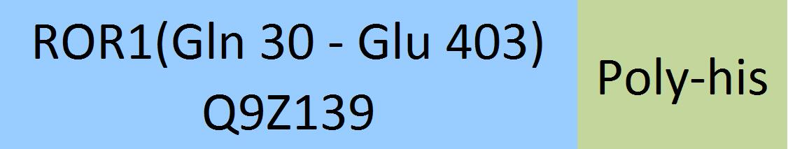 Online(Gln 30 - Glu 403) Q9Z139