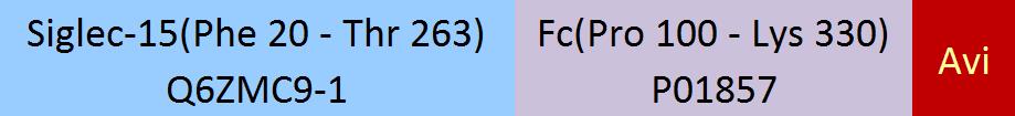 Siglec-15 Structure