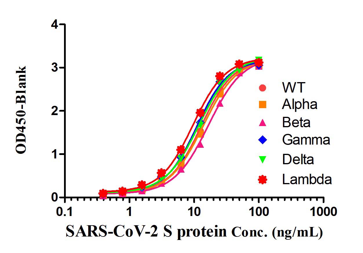  Spike protein TYPICAL DATA